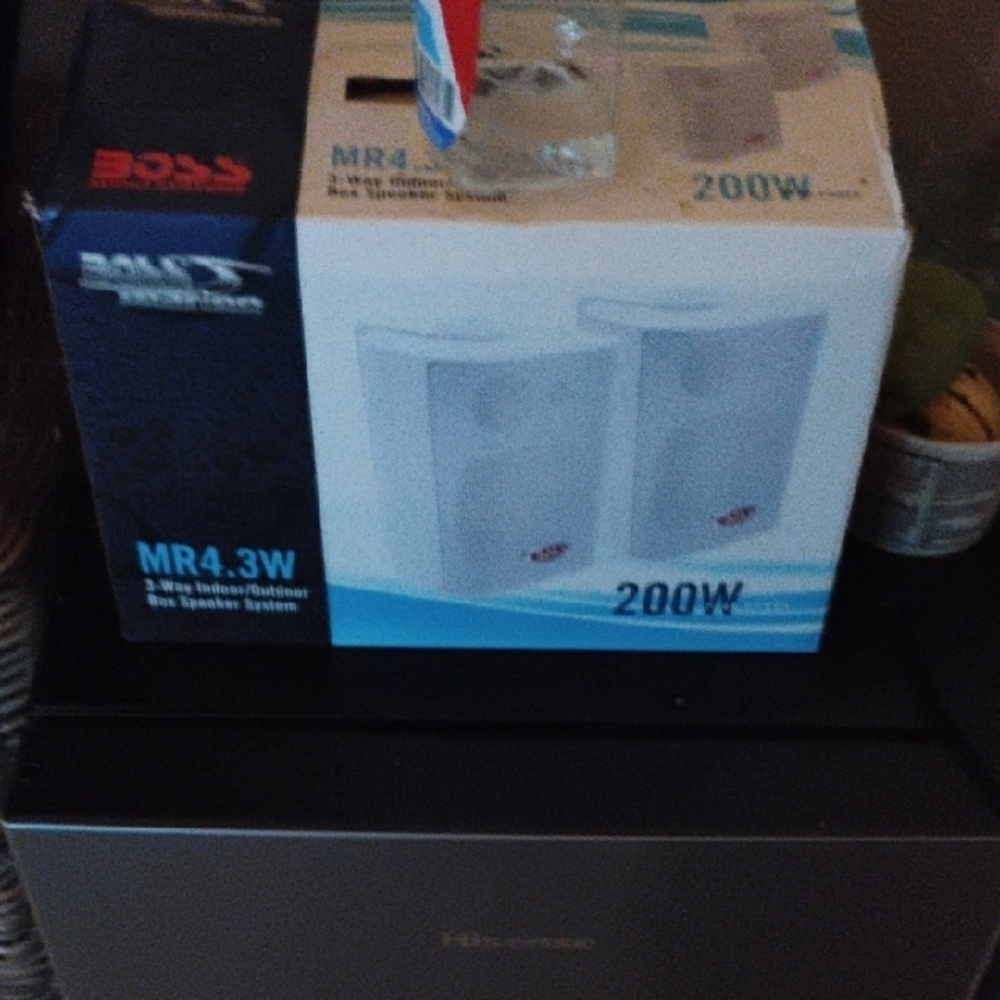Boss White Indoor/Outdoor Speakers